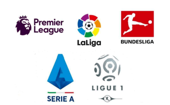 才能真正提 才能真正提